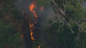 Austrália retira 30 mil pessoas de áreas afetadas por incêndios florestais 